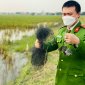 TỊCH THU LƯỚI BẮT CHIM HOANG DÃ TẠI CAO LŨNG